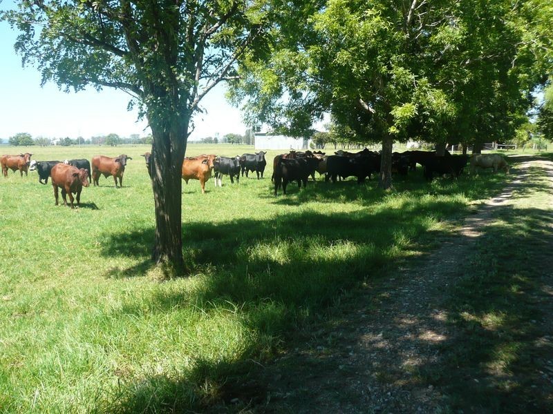 1174 Pacific Highway, Grafton NSW 2460