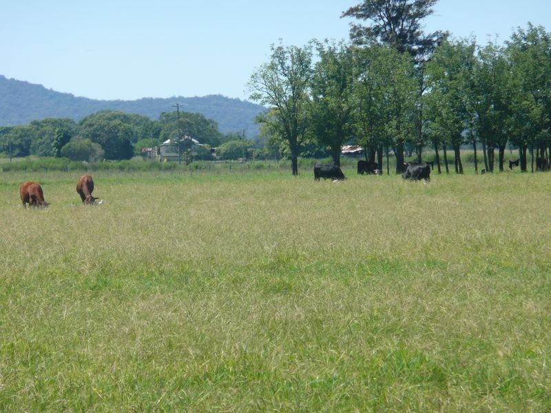 1174 Pacific Highway, Grafton NSW 2460