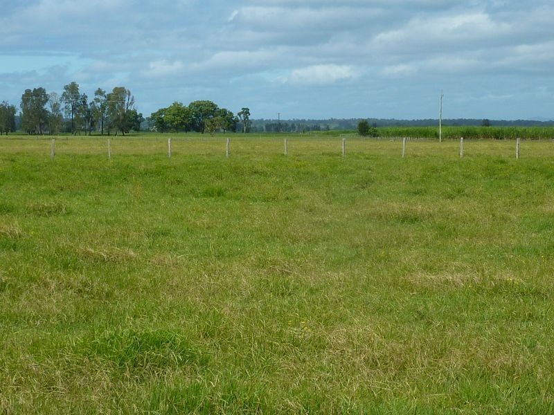 1174 Pacific Highway, Grafton NSW 2460