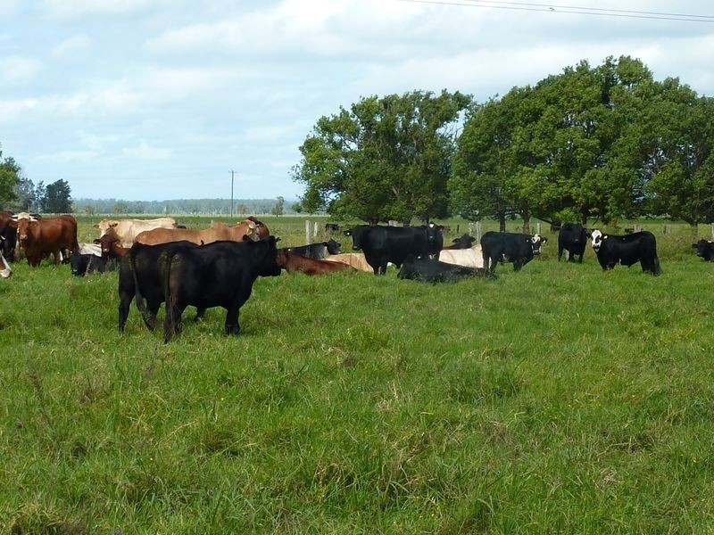 1174 Pacific Highway, Grafton NSW 2460