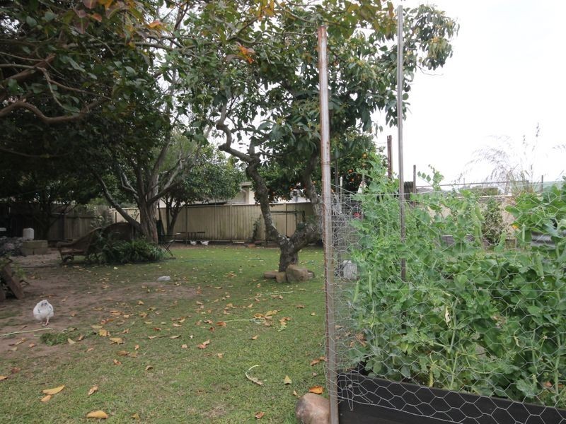 10 Orara Street, Grafton NSW 2460