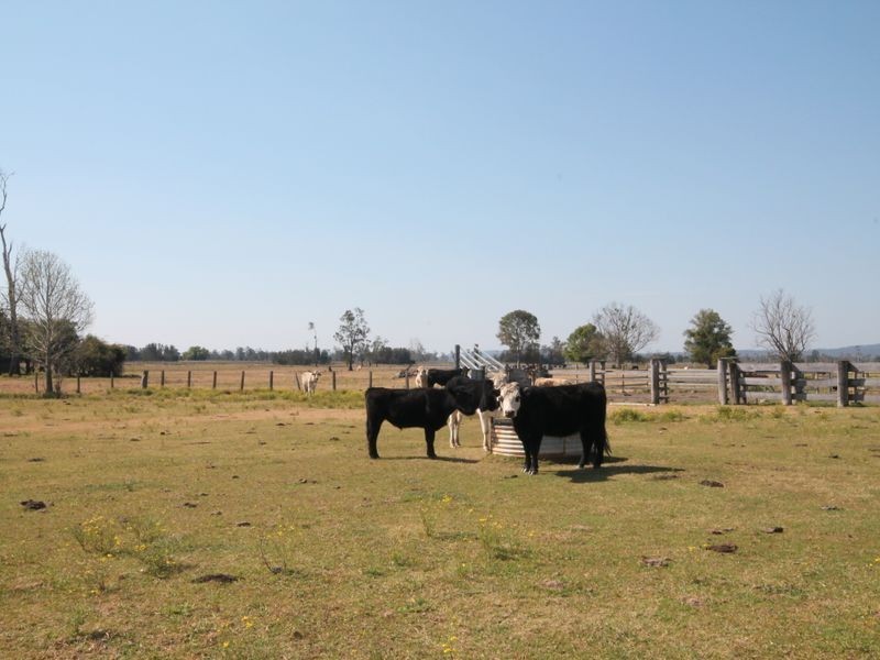 1304 Lower Coldstream Road, Ulmarra NSW 2462