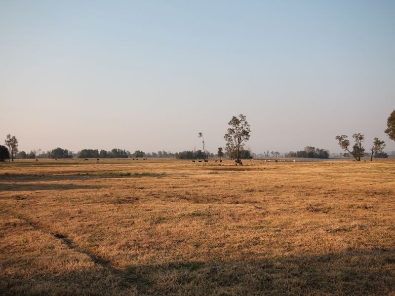 1304 Lower Coldstream Road, Ulmarra NSW 2462