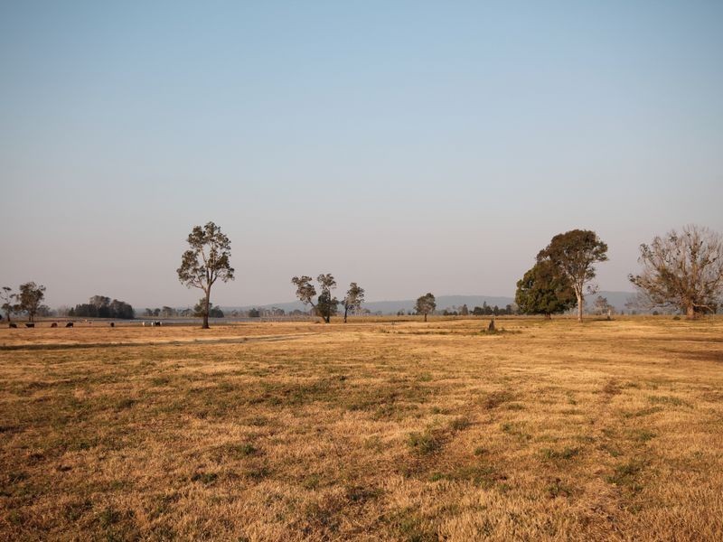 1304 Lower Coldstream Road, Ulmarra NSW 2462