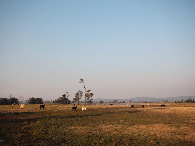 1304 Lower Coldstream Road, Ulmarra NSW 2462