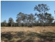134 Sandy Swamp Road, Coutts Crossing NSW 2460