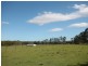 24 Six Mile Lane, Glenugie NSW 2460