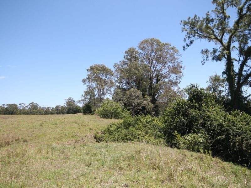 Lot 5 Riverstone Road, Seelands NSW 2460