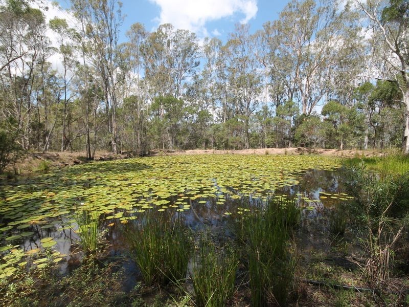 237 Kangaroo Creek Road, Coutts Crossing NSW 2460