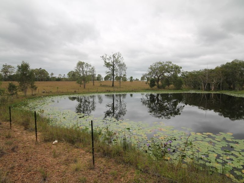 Lot 2 Summerland Way, Mountain View NSW 2460