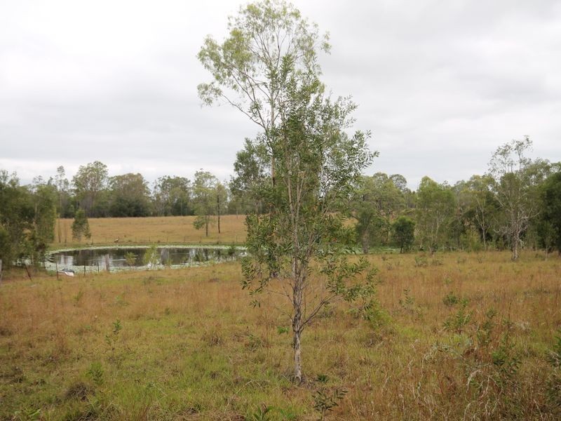 Lot 2 Summerland Way, Mountain View NSW 2460