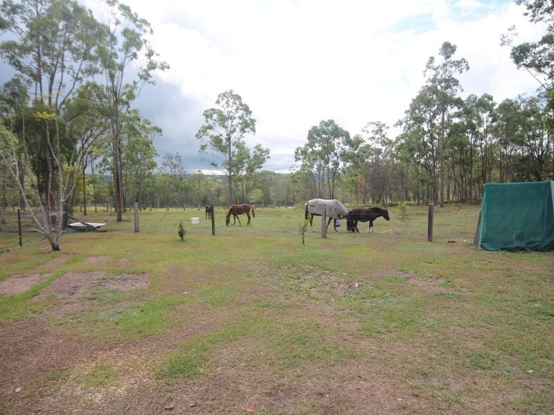 321 Baillies Road, Copmanhurst NSW 2460