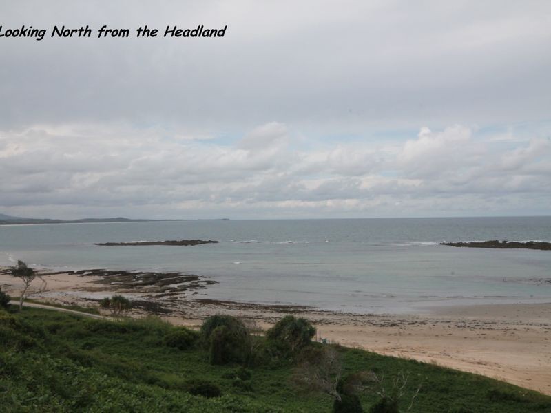 58 Hiawatha Road, Minnie Water NSW 2462