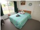 88 Cambridge Street, Copmanhurst NSW 2460