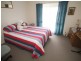 88 Cambridge Street, Copmanhurst NSW 2460