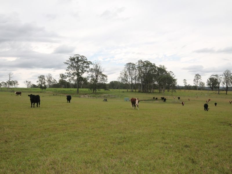 207 Laytons Range Road, Nymboida NSW 2460