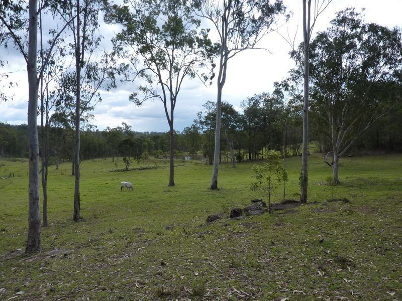 394 Shannondale Road, Grafton NSW 2460