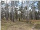 1773 Armidale Road, Coutts Crossing NSW 2460