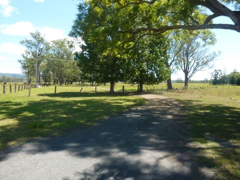 89 Appletree Flat Road, Winegrove NSW 2460