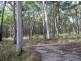 13 High St, Bundabah NSW 2324