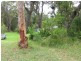 72 Koree Street, Pindimar NSW 2324