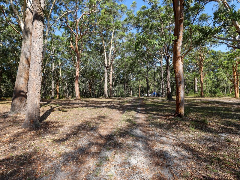 Lot 28 Nardoo Street, Pindimar NSW 2324