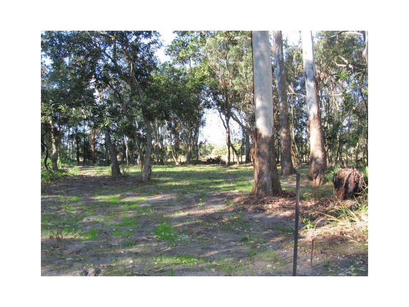 Lots 20/21 Myall Street, Pindimar NSW 2324