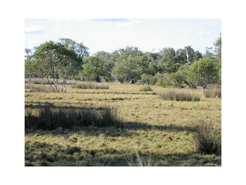 Lots 20/21 Myall Street, Pindimar NSW 2324