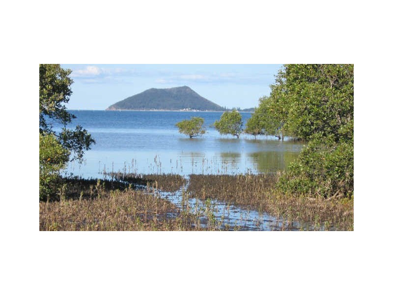 Lots 20/21 Myall Street, Pindimar NSW 2324