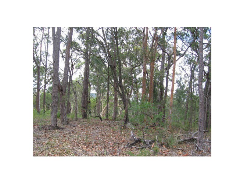 274 Bundabah Road, Bundabah NSW 2324