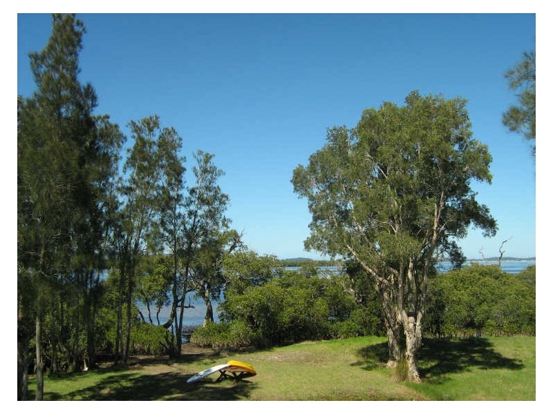 81 Warri Street, Pindimar NSW 2324