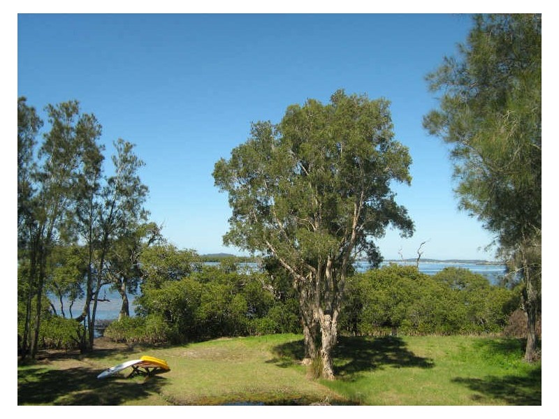 81 Warri Street, Pindimar NSW 2324
