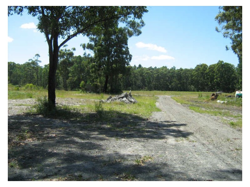 81 Warri Street, Pindimar NSW 2324