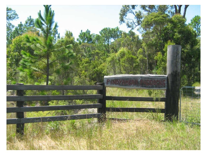 81 Warri Street, Pindimar NSW 2324