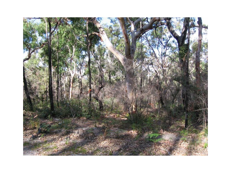 Lots 16/17 Nardoo Street, Pindimar NSW 2324