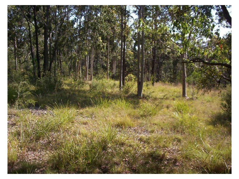 125 Bundabah Road, Pindimar NSW 2324