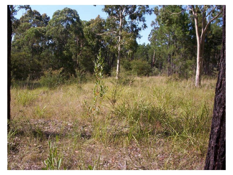 125 Bundabah Road, Pindimar NSW 2324