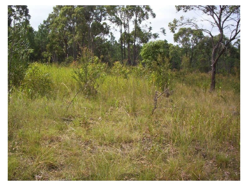 125 Bundabah Road, Pindimar NSW 2324