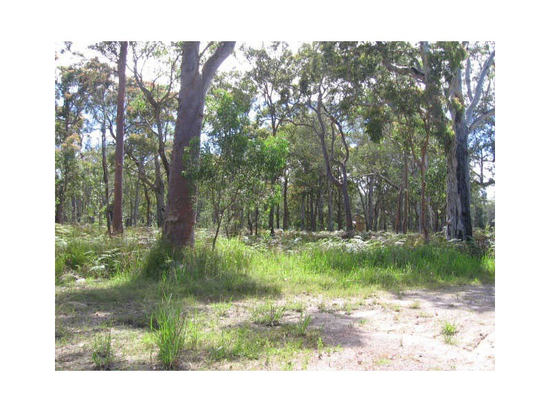 Lots/7, 8 & 9 Cambage Street, Pindimar NSW 2324