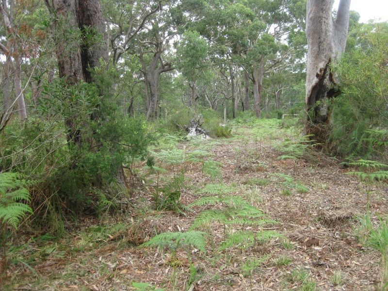 Lot 8/Sec H DP82 Nardoo Street, Pindimar NSW 2324