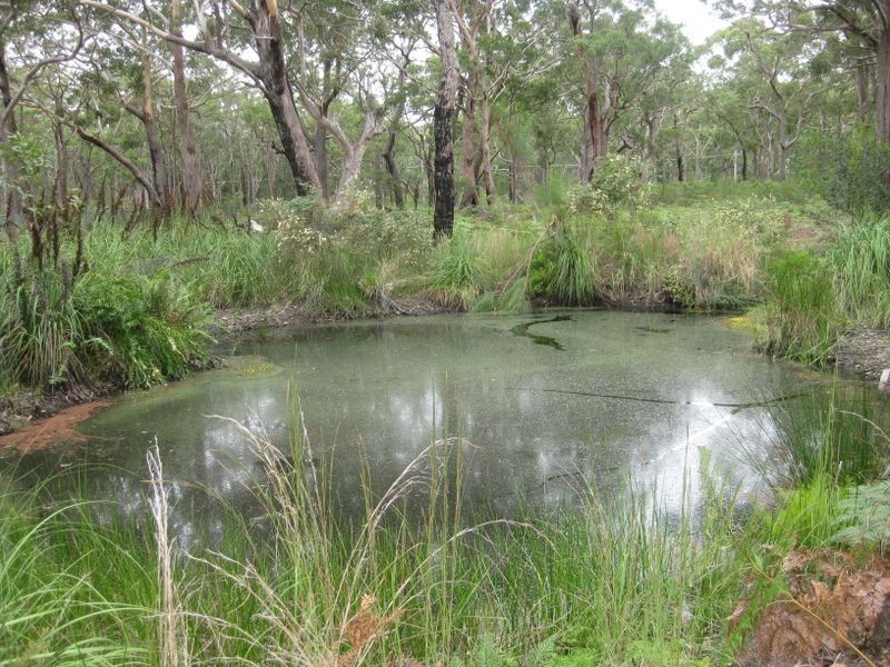 Lot 8/Sec H DP82 Nardoo Street, Pindimar NSW 2324