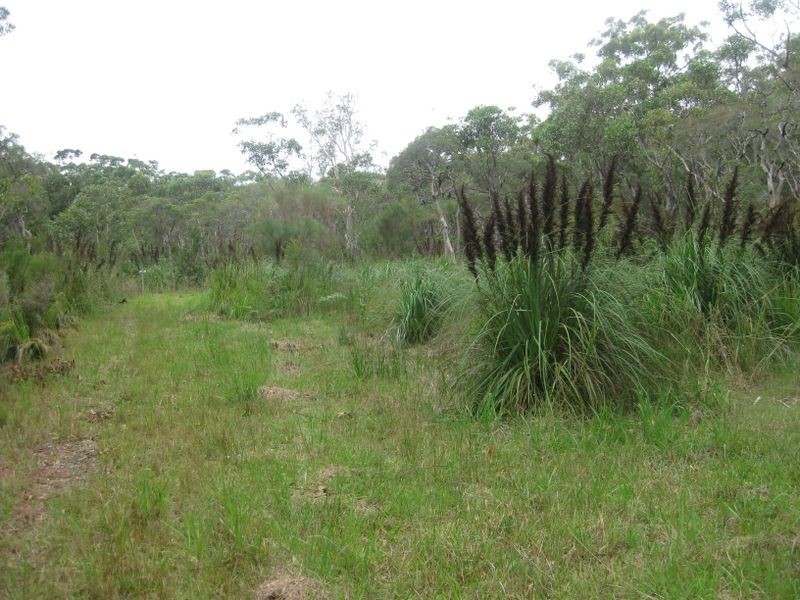 Lot 8/Sec H DP82 Nardoo Street, Pindimar NSW 2324