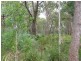 Lot 12 Warri Street, Pindimar NSW 2324