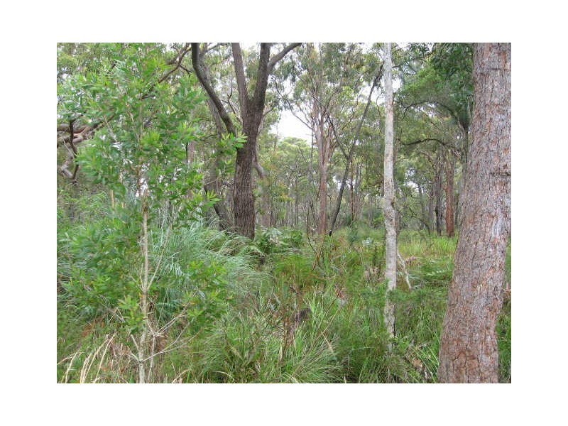 Lot 12 Warri Street, Pindimar NSW 2324