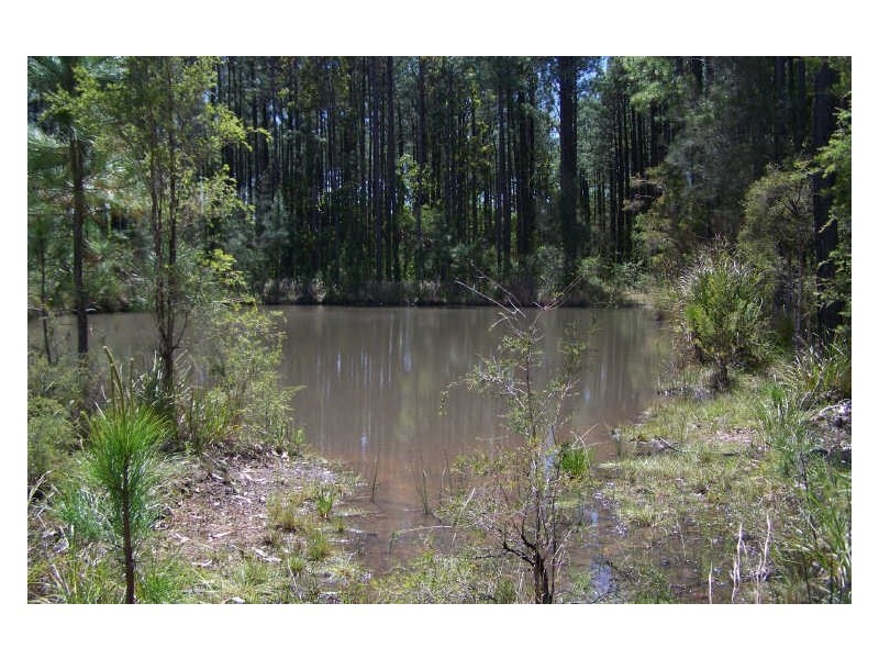 520 Pindimar Road, Pindimar NSW 2324