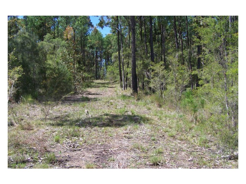 520 Pindimar Road, Pindimar NSW 2324