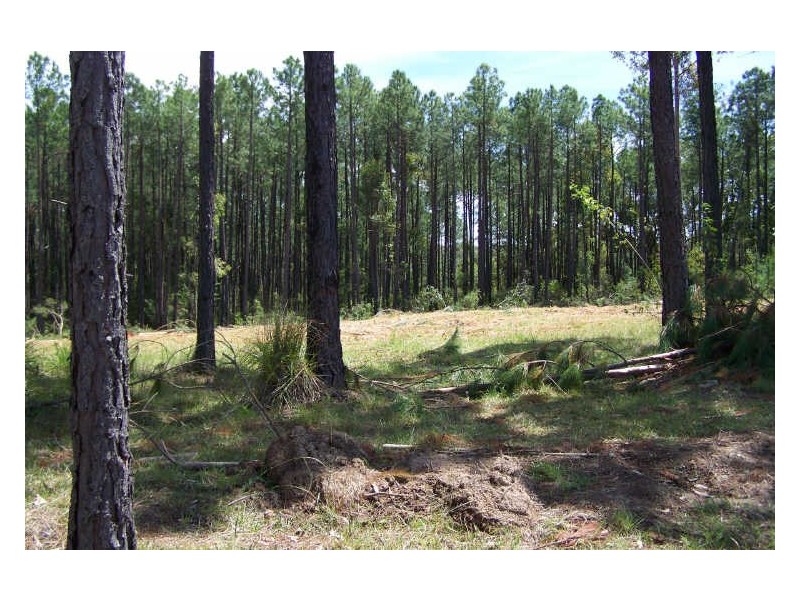 520 Pindimar Road, Pindimar NSW 2324