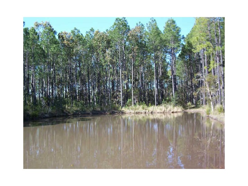 520 Pindimar Road, Pindimar NSW 2324