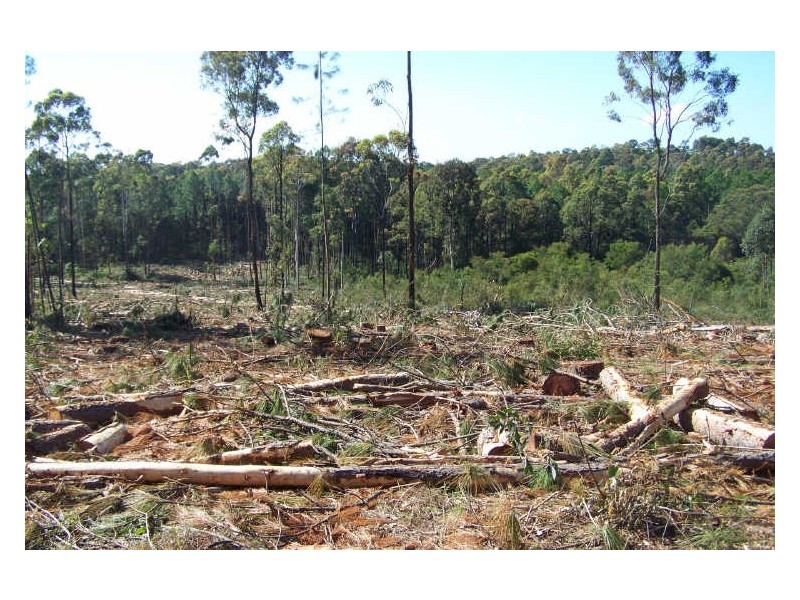 520 Pindimar Road, Pindimar NSW 2324