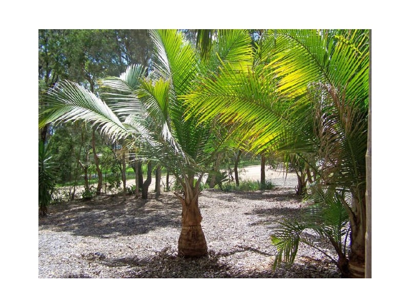 300 Bundabah Road, Bundabah NSW 2324